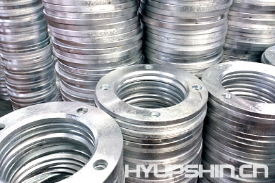 Backing Ring Flange, Shandong Hyupshin Flanges Co., Ltd